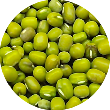 Green Mung Beans